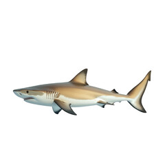 Obraz premium realistic 3d rendering of a shark. showcasing its streamlined body. fins. and distinctive features the shark is depicted swimming in a neutral background. emphasizing its shape and design. potentially