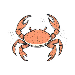 Fototapeta premium Crab
