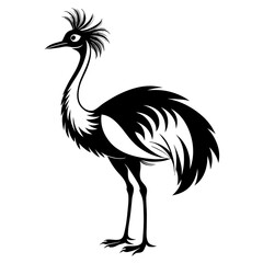 Fototapeta premium Emu Australia silhouette,vector printable design