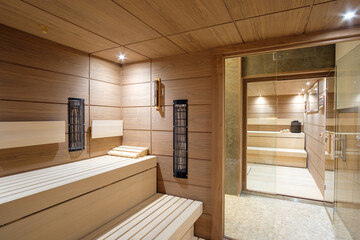 Luxurious wooden sauna with multiple benches and modern design