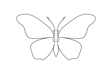 Continuous line drawing of beautiful butterfly outline vector Illustration