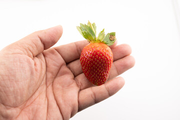 Fresh Strawberry in Hand:  Nature's Sweetness Held Gently