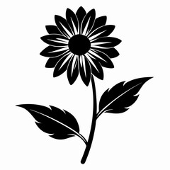black and white flower