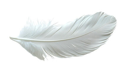 Obraz premium White feather floating isolated on transparent background. Cutout. Concept of comfort, sensitivity and lightness.