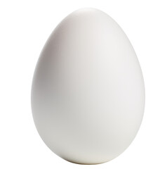 Close up of an egg