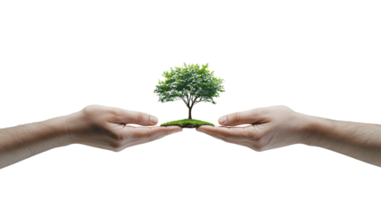 Shared Responsibility Protecting Our Planet's Future Through Collective Action