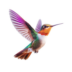 Obraz premium Vibrant Hummingbird in Flight, Wings Aflutter, Jewel-toned Plumage (1)