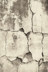 Fototapeta premium A Study in Texture: Cracked and Weathered Concrete Wall Surface