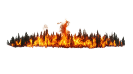 Wildfire Inferno Consumes Forest Landscape Intense Blaze