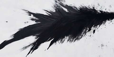 Obraz premium Black ink splatter on white, abstract art, design element.