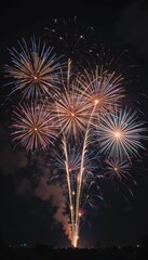 Colorful fireworks display in the night sky.