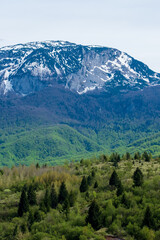 Majestic snow capped mountain range overlooking lush green valley