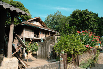 Traditional wooden stilt house with ancient clay roofing tiles covers in moss, open windows balcony, blooming tall poinsettia bush under sunny blue sky rural town in remote Vietnam village