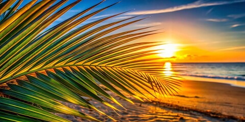Macro Photography: Palm Tree Detail, Torremolinos Beach, Costa del Sol, Andalusia, Spain
