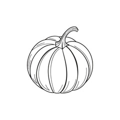 pumpkin outline vector illustration