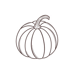 pumpkin outline vector illustration