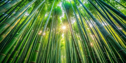 Fototapeta premium Majestic Bamboo Forest: Giant Grass Landscape Photography