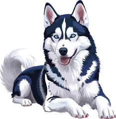 siberian husky dog vector illustration white background © Jagone Mas Zan