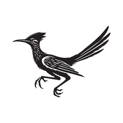 Roadrunner  bird silhouette vector art black color design and solid white background