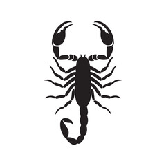 Scorpion silhouette vector art black color design and solid white background