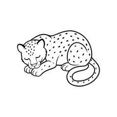 leopard sleeping.eps