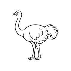 Fototapeta premium ostrich line art.eps