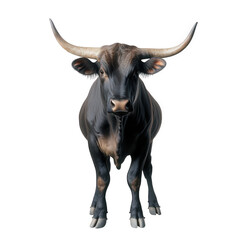 Naklejka premium realistic depiction of a bull standing upright. showcasing its muscular build. prominent horns. and glossy black coat the background is minimalistic. emphasizing the bull as the central subject. which