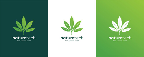 Cannabis Marijuana Hemp Leaf with Vintage Logo design