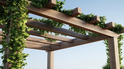 Wooden pergola adorned with climbing vines under a clear sky.