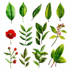 Obraz premium Fantastical plant leaves watercolor art nature botanical creative