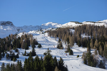Piste de ski au milieu d'une forêt de sapins dans une station de sport d'hiver avec des skieurs et des surfeurs qui descendent sous le soleil d'hiver.