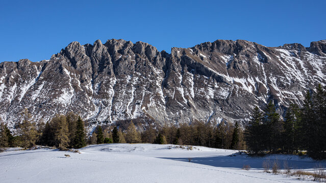 Montagne sous le ciel bleu d'hiver dominant une plaine bois&eacute;e et enneig&eacute;e o&ugrave; vivent des animaux sauvages.