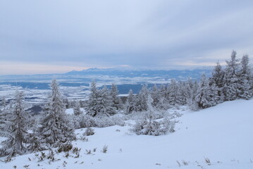 Zimowy krajobraz ośnieżonych gór i drzew