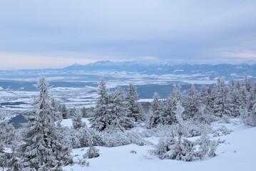 Ośnieżone szczyty górskie © Anna
