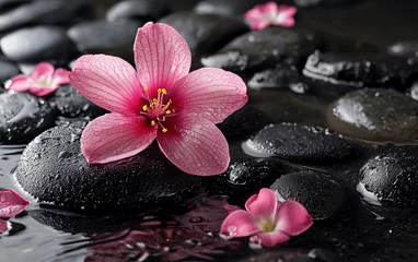 relax and spa stock photo