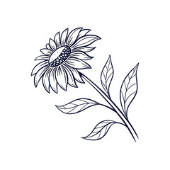 Sunflower Outline Hand Drawn Illustration