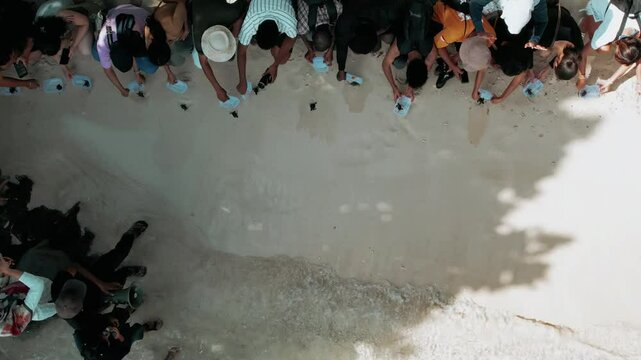 Release of sea turtle hatchlings at Karimunjawa conservation