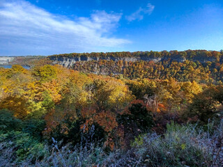 Glen trail forest view
