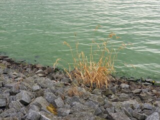 The interface of water in the reservoir and the bank of granite stones, with a clump of grass that did not survive in the harsh conditions of the rocky bank.