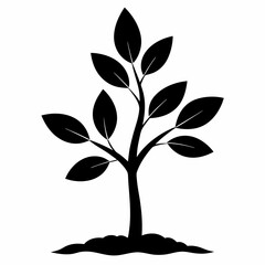 Sapling of Dreams Black Silhouette Vector Illustration