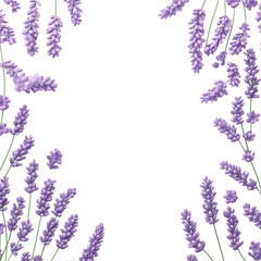 Naklejka premium Lavender Frame: Elegant Purple Floral Border 