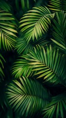 Lush green palm leaves, tropical foliage background, nature, vibrant, wallpaper