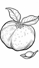 A simple mandarin orange coloring page. Great for kids and adults who love citrus fruits. Perfect for educational materials or coloring books.
