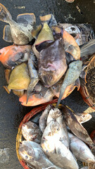 sale fish in the market traditional