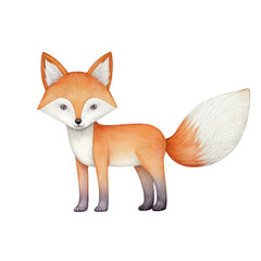 Obraz premium Adorable Watercolor Fox Illustration 