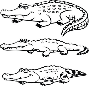Caiman bundle line art and illustrator eps