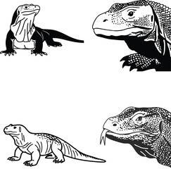 Comodo-dragon bundle line art and illustrator eps
