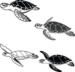 Sea-turtle bundle line art and illustrator eps
