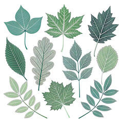 Fototapeta premium seamless pattern with leaves