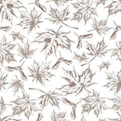 Seamless illustration of outline sketch with maple leaves and seeds in monochrome grunge style.